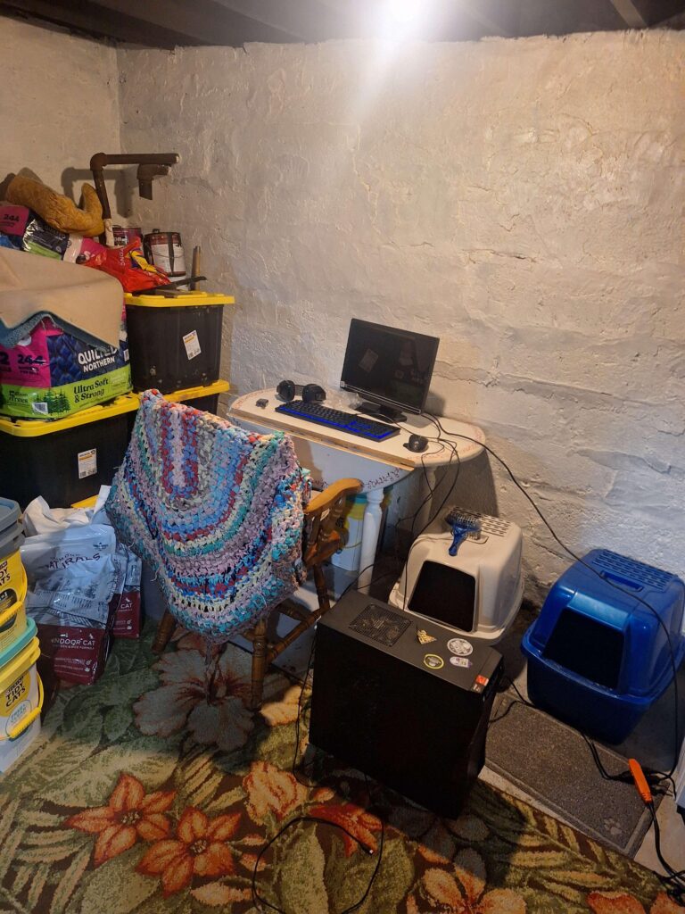 Small basement computer setup with a basic monitor, wooden chair, storage bins, and cat litter boxes.